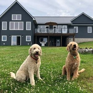 Meet your Posher, Peggy